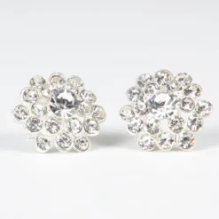 Clear Rhinestone Earring